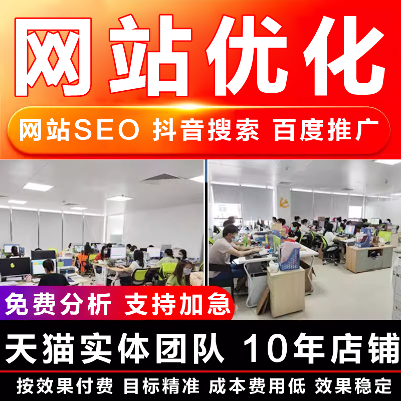 百度谷歌360抖音搜索网站推广关键词排名seo